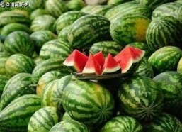 康县网红女吃瓜的事,揭秘网络舆论的风云变幻