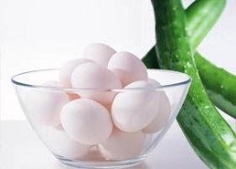 娱乐吃瓜鸡蛋,揭秘娱乐圈背后的趣味故事